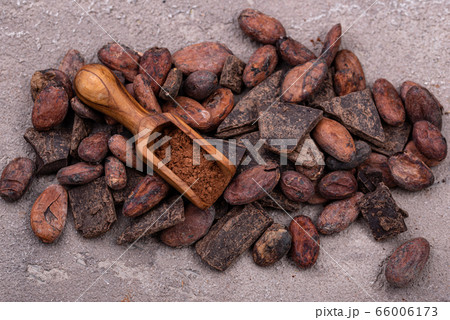 Natural cocoa powder, cocoa beans and chocolate Natural cocoa powder, cocoa beans and chocolate 66006173