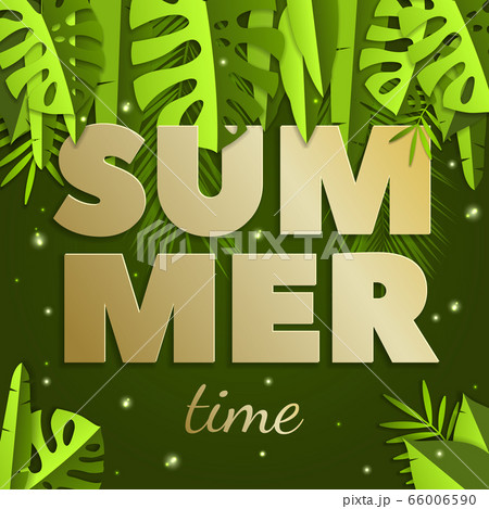 Summer time inscription with green, bright andのイラスト素材 [66006590] - PIXTA