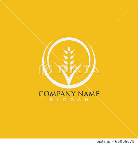 Agriculture wheat vector 66006679