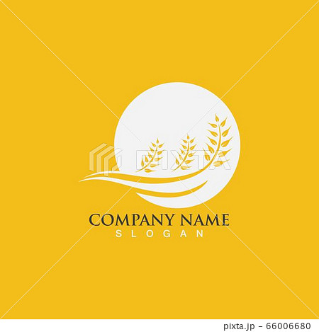 Agriculture wheat vector 66006680