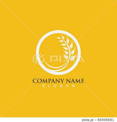 Agriculture wheat vector 66006681