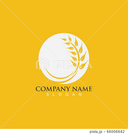 Agriculture wheat vector 66006682