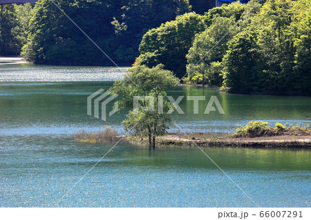 月山湖 月山湖 66007291