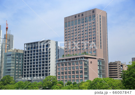 順天堂大学 66007847