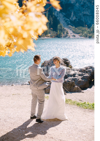 Bride and groom under an autumn tree, with fiery yellow foliage, at the Lago di Braies in Italy. Destination wedding in Europe, on Braies lake. The newlyweds in love are dancing and spinning. 66008045
