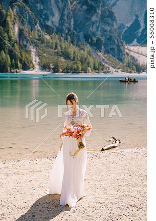 Beautiful bride in a white dress with sleeves and lace, with a yellow autumn bouquet of dried flowers and peony roses, on the Lago di Braies in Italy. Destination wedding in Europe, on Braies lake. Beautiful bride in a white dress with sleeves and lace, with a yellow autumn bouquet of dried flowers and peony roses, on the Lago di Braies in Italy. Destination wedding in Europe, on Braies lake. 66008310