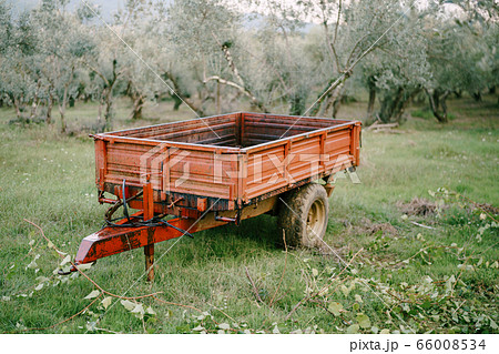 A metal car trailer in an olive grove. A metal car trailer in an olive grove. 66008534