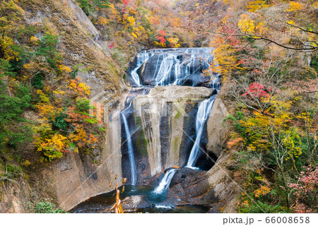 袋田の滝と紅葉風景 秋 （茨城県久慈郡大子町） 2019年11月撮影 66008658