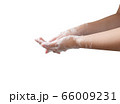 Closeup woman's hand washing, Cleaning hands 66009231