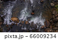 Beautiful aerial view of forest and river  66009234