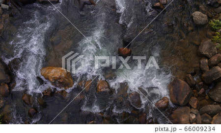 Beautiful aerial view of forest and river Beautiful aerial view of forest and river 66009234