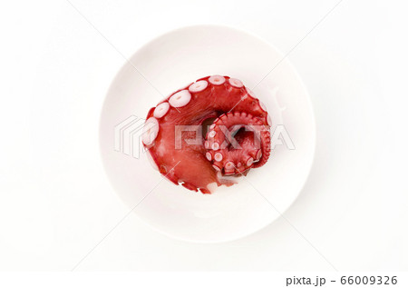 刺身用ボイル蛸の足 刺身用ボイル蛸の足 66009326