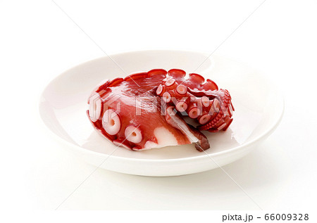 刺身用ボイル蛸の足 刺身用ボイル蛸の足 66009328