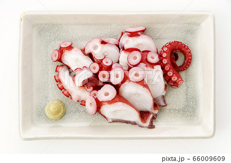 ボイル蛸の刺身 ボイル蛸の刺身 66009609