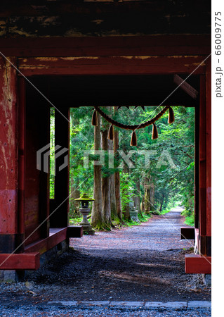 戸隠神社・奥社参道 戸隠神社・奥社参道 66009775