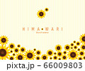ひまわり　背景イラスト　sunflower background 01 66009803