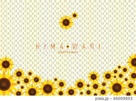 ひまわり 背景イラスト Sunflower Background 01のイラスト素材