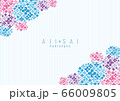 アジサイ　背景イラスト　hydrangea background 01 66009805