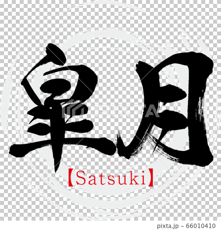 皐月・Satsuki（筆文字・手書き） 66010410
