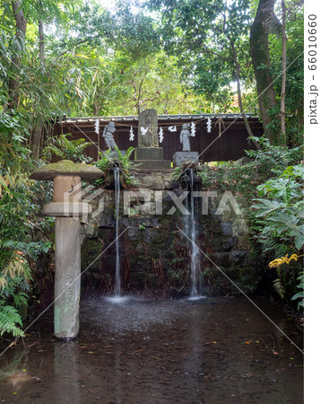 清涼な深大寺の湧水　不動の滝湧水口　東京の名湧水57選 66010660