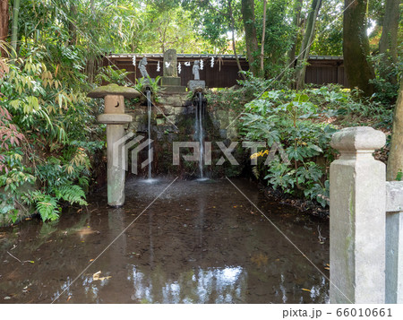 清涼な深大寺の湧水　不動の滝湧水口　東京の名湧水57選 66010661