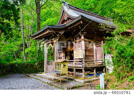戸隠神社・九頭龍社 66010781