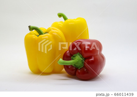野菜 レッド 赤 66011439