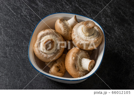 きのこ Japanese delicious natural edible mushrooms きのこ Japanese delicious natural edible mushrooms 66012105