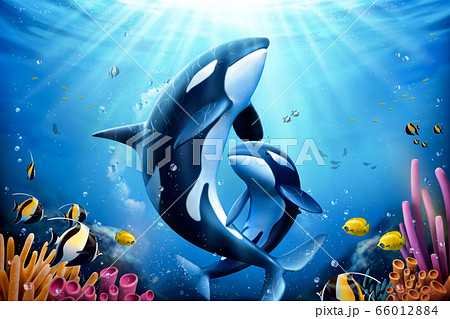 Killer Whales Family With Coral Stock Illustration