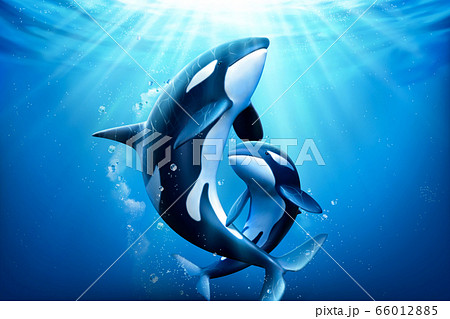 Adorable Killer Whales Family Stock Illustration