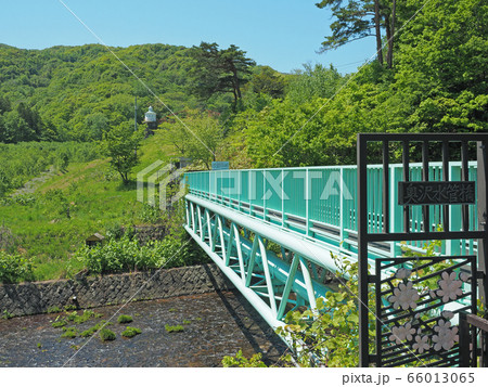 小樽　奥沢水源地の水管橋 66013065