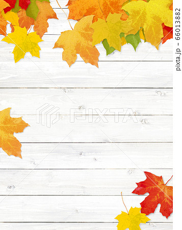 背景-木目-落ち葉-秋 背景-木目-落ち葉-秋 66013882