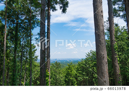 草戸山の登山道（南高尾山稜） 66013978