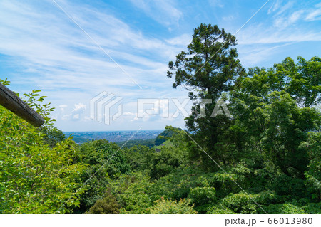 草戸山山頂からの景色（南高尾山稜） 66013980