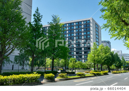 議員会館 66014404