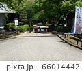閑散 66014442