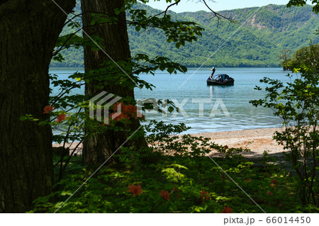 黒鳥ボート 66014450