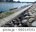 長良川 66014541