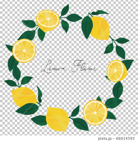 レモン フレーム 枠 丸型のイラスト素材