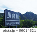 看板 66014621