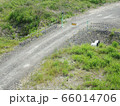 河川敷 66014706