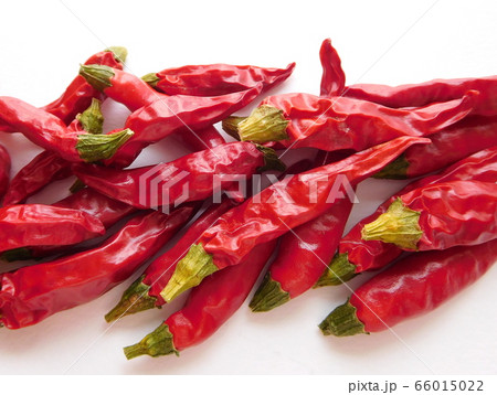唐辛子 トウガラシ 鷹の爪 66015022