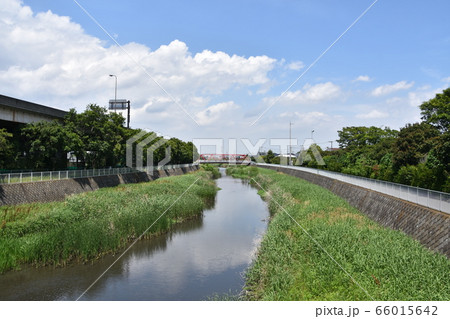 小出川 新鶴嶺橋 茅ヶ崎市 小出川 新鶴嶺橋 茅ヶ崎市 66015642