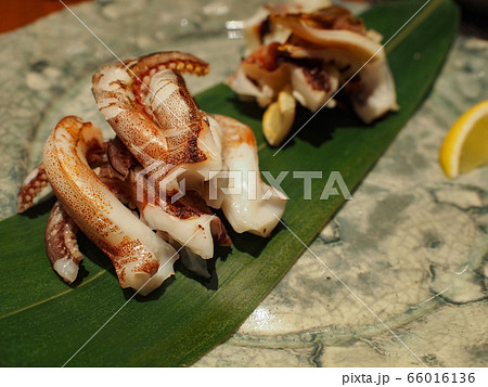 烏賊焼き 烏賊焼き 66016136