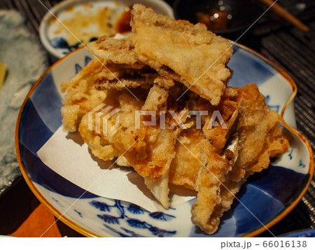 イカフライ 66016138