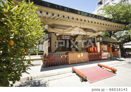露天神社 66016145