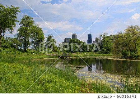アメリカ合衆国 イリノイ州 シカゴ リンカーン公園 アメリカ合衆国 イリノイ州 シカゴ リンカーン公園 66016341