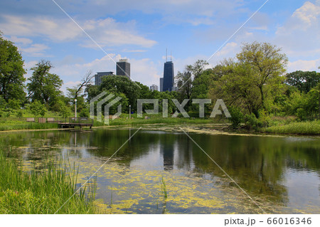 アメリカ合衆国 イリノイ州 シカゴ リンカーン公園 アメリカ合衆国 イリノイ州 シカゴ リンカーン公園 66016346