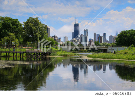 アメリカ合衆国　イリノイ州　シカゴ　 リンカーン公園 66016382