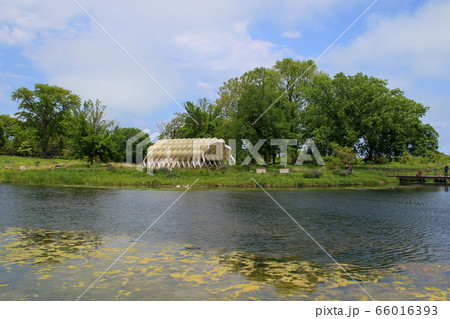アメリカ合衆国 イリノイ州 シカゴ リンカーン公園 アメリカ合衆国 イリノイ州 シカゴ リンカーン公園 66016393